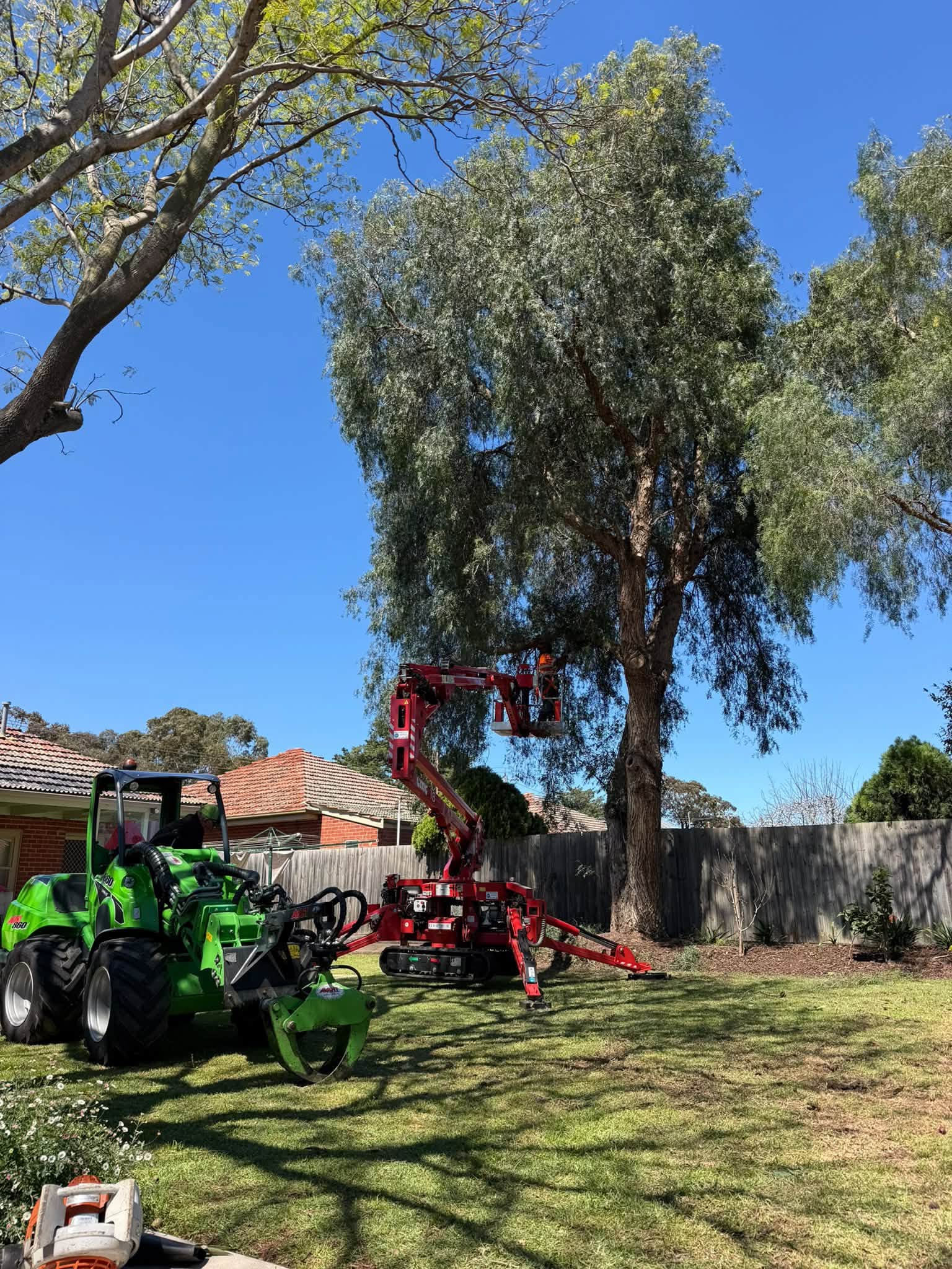 Milone's Tree Solutions photo